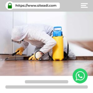 Haşere İlaçlama Web Sitesi Tasarımı